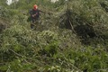 Працюємо за будь-якої погоди, щоб світло завжди було